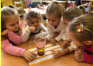 Jeżyki obserwują mieszanie się oleju, wody, barwnika i efekt wrzucenia tabletki musującej