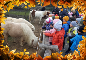 Dzieci karmią zwierzęta.