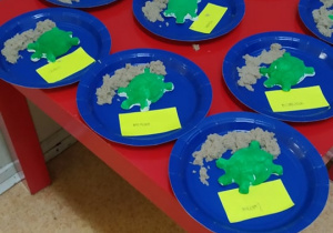 Gotowe żółwie, zrobione przez dzieci