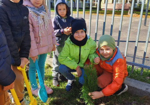 Dzieci sadzą młode drzewko w ogrodzie przedszkolnym.