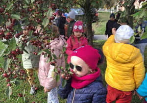 Dzieci dotykają gałęzie i owoce drzewa.