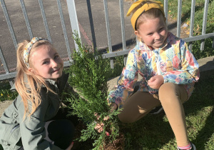 Dzieci sadzą drzewko