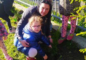 Pani Ania z Hanią O. sadzą drzewko.