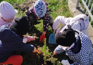 Dzieci sadzą drzewo w ogrodzie przedszkolnym