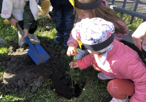 Dzieci sadzą małe drzewko